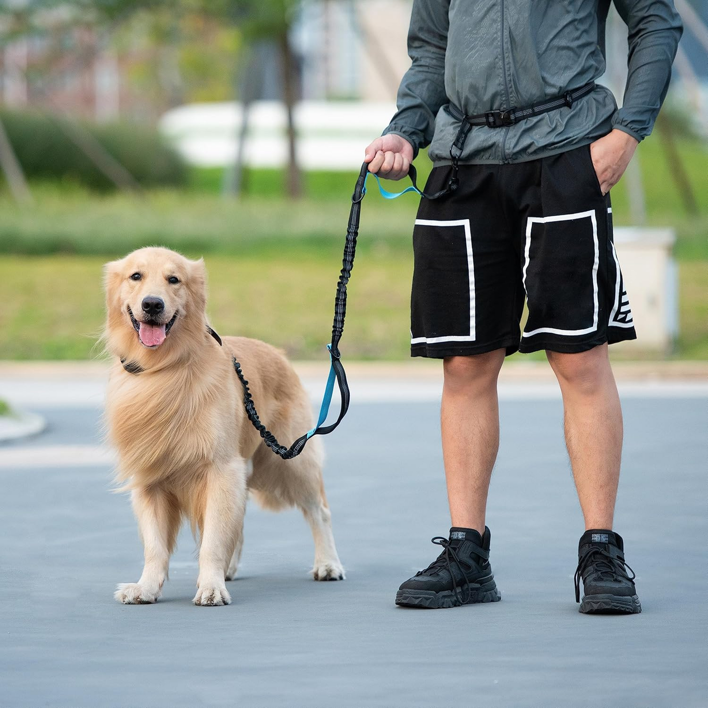 Buddy Belt™ Hands Free Waist Leash